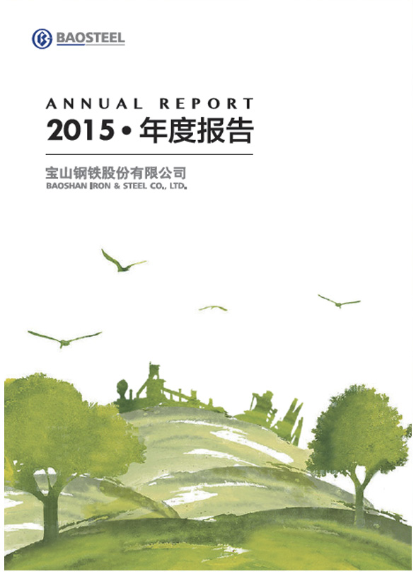 2015年度報告